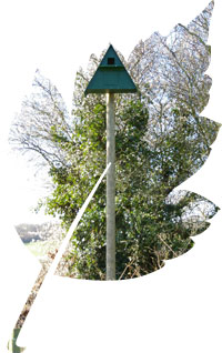 Owl box on pole